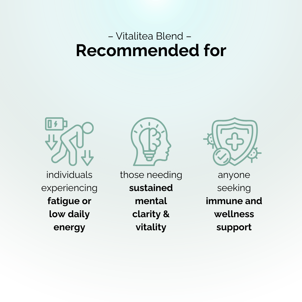 Vitalitea Blend - 元气四宝茶