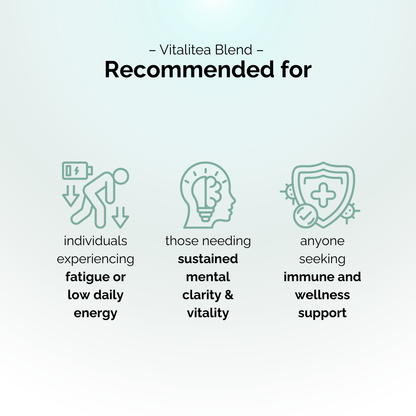 Vitalitea Blend - 元气四宝茶