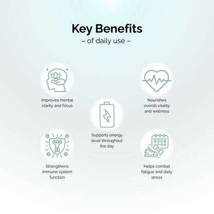 Vitalitea Blend - 元气四宝茶